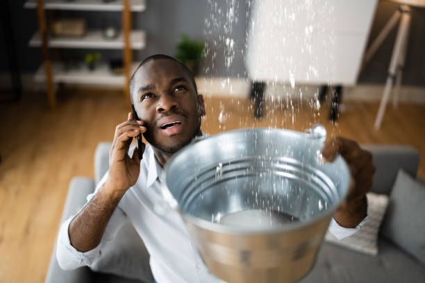 Best Mold removal after water damage  in Parma, ID
