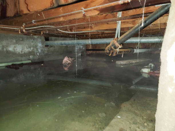 Best Emergency water damage restoration  in Parma, ID