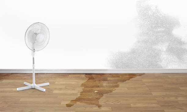 Best Basement water damage restoration  in Parma, ID