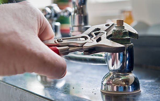 Best Water damage restoration mold remediation  in Parma, ID
