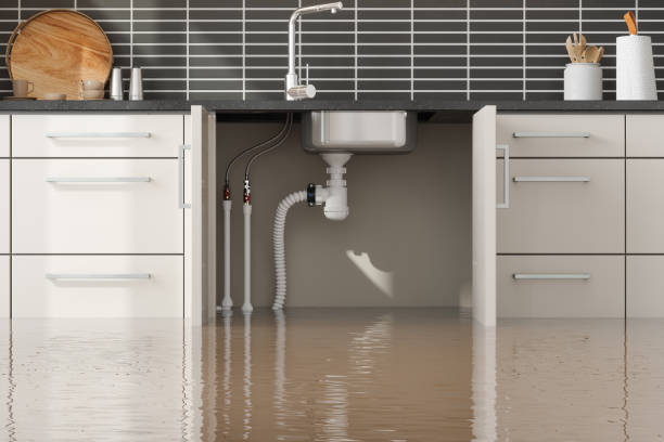 Best Water damage repair service  in Parma, ID