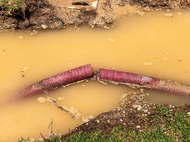 Best Water damage contractors near me  in Parma, ID