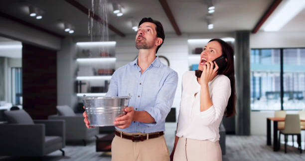  Parma, ID Water damage restoration Pros