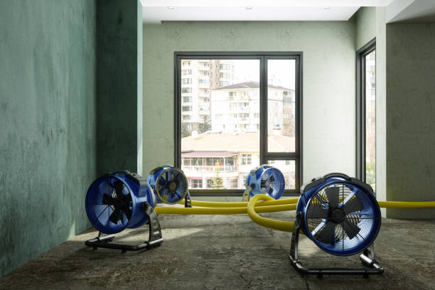 Best Residential water damage restoration  in Parma, ID