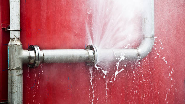 Best Flood restoration services  in Parma, ID